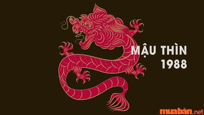 Hướng nhà phù hợp với người tuổi Mậu Thìn 1988