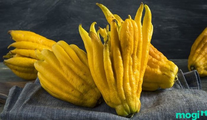 Quả phật thủ ngâm rượu