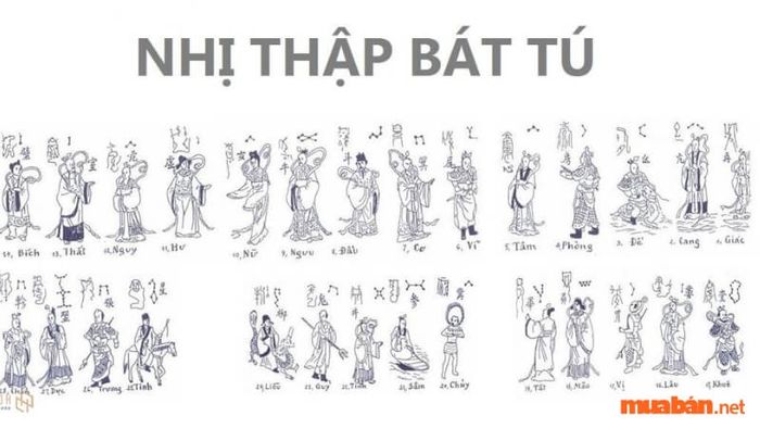 Phân tích ngày hoàng đạo theo hệ Nhị Thập Bát Tú