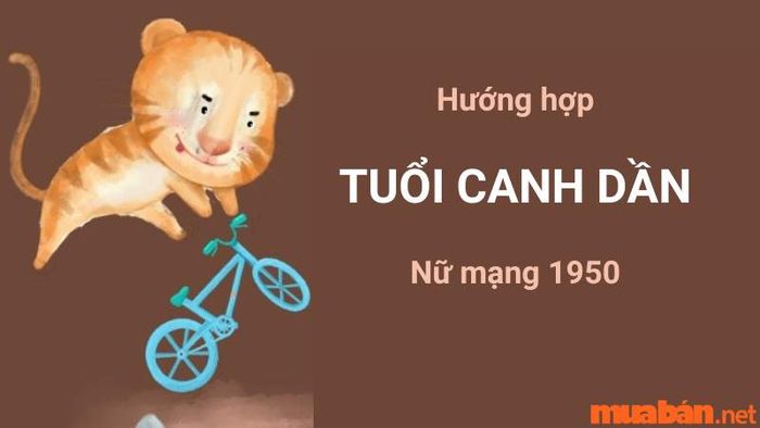 Hướng nhà phù hợp với nữ tuổi Canh Dần