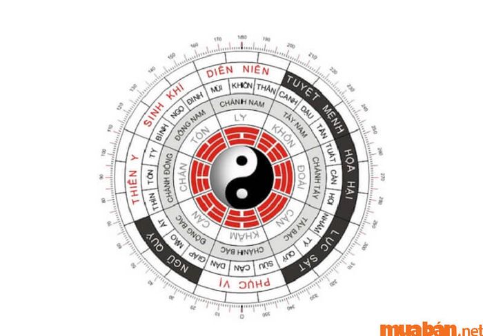 Cung phi của nam mạng Ất Tỵ 1965 trong năm 2024 chi tiết nhất
