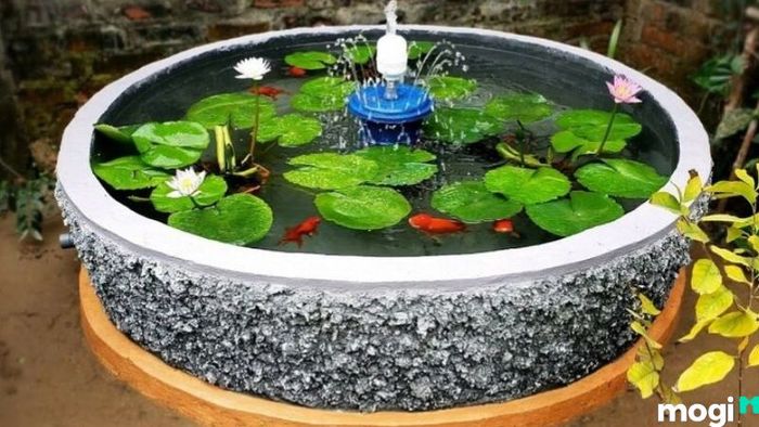 Hướng dẫn xây dựng hồ cá xi măng đẹp mắt