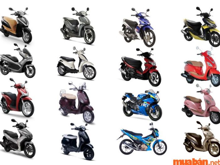 Cập nhật giá thuê xe máy tại Đà Lạt mới nhất năm 2023