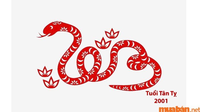 Phân tích tử vi chi tiết của nam mạng Tân Tỵ 2001 theo từng tháng trong năm