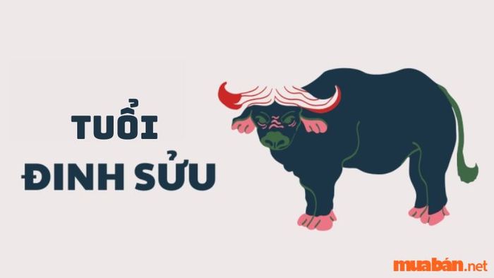 Tuổi Đinh Sửu và hướng nhà phù hợp nhất để mang lại vận may