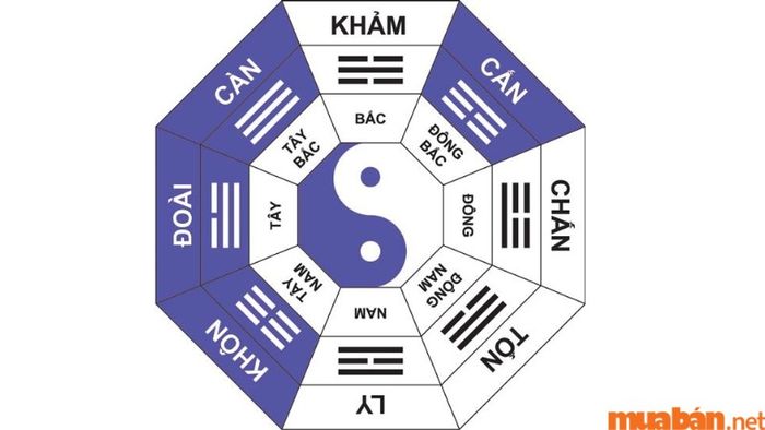 Tử vi Tân Tỵ 2001 nam mạng năm 2024 xét theo cung phi