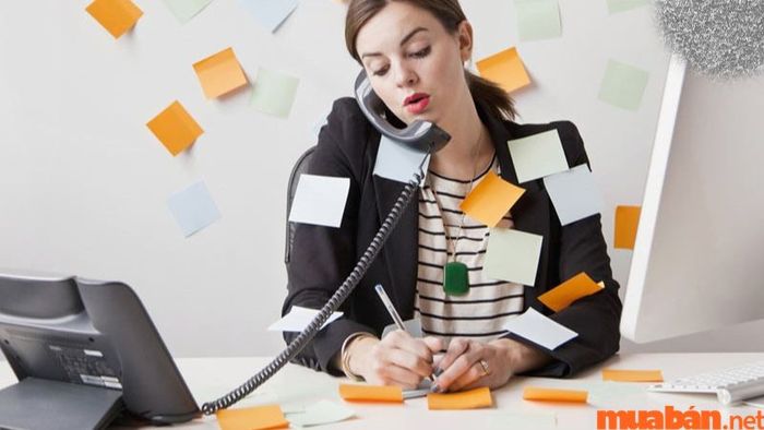 Ngành quản trị văn phòng là gì?