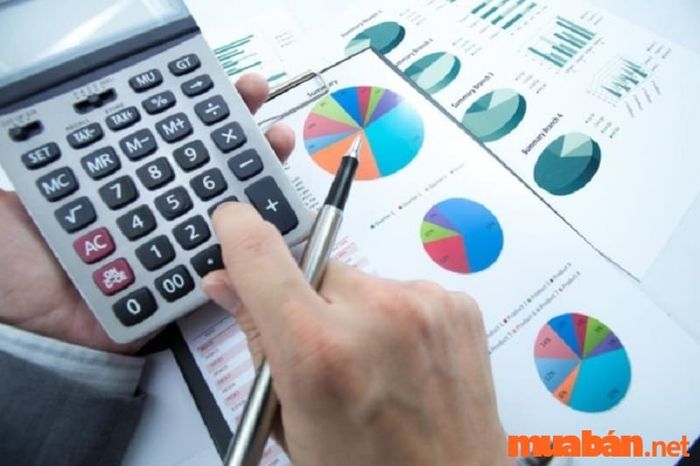 Tử vi tuổi Ngọ 2024