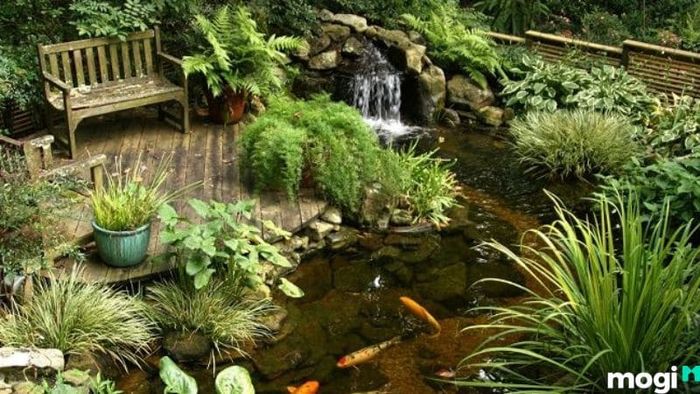 Hồ cá có thêm ghế ngồi tạo không gian thoải mái để thư giãn