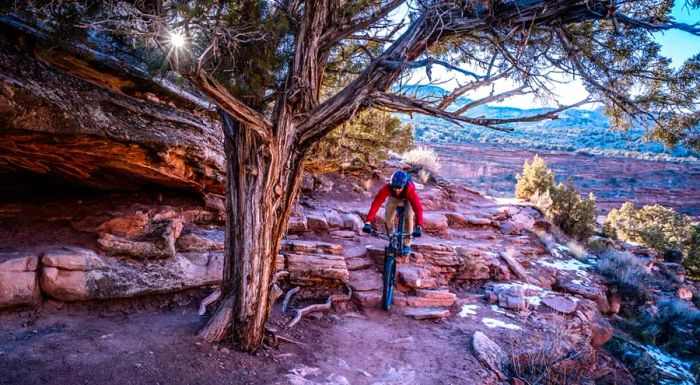 A mountain biker rides through the Kokopelli trail system near Fruita, Colorado.