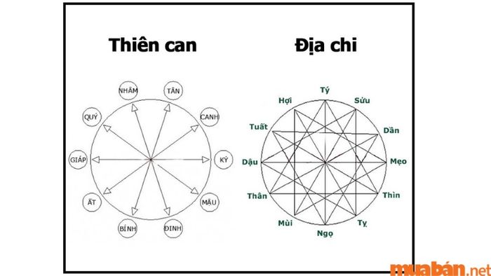 Tử vi Tân Tỵ 2001 nam mạng năm 2024 xét theo thiên can