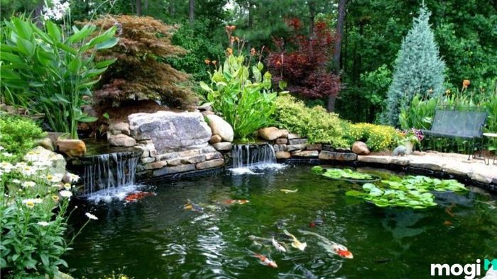 Tiểu cảnh hồ cá ngoài trời đầy ấn tượng