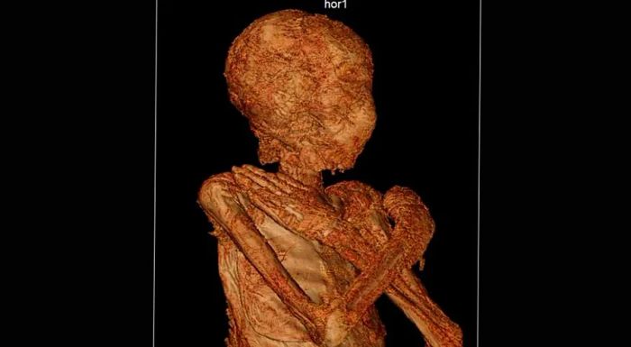 The body was observed to have a 'fragile skeletal structure,' leading the researchers to conclude it was likely female.