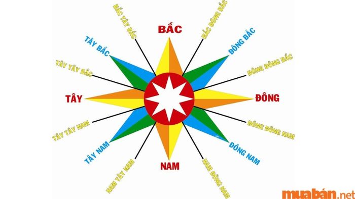 Hướng xuất hành thuận lợi nhất cho người tuổi Tân Tỵ 2001 nam mạng trong năm 2024 là hướng Đông Bắc.