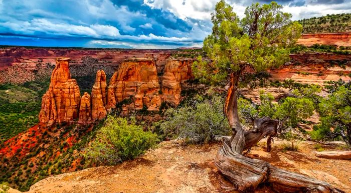 Colorado National Monument is home to dramatic red rock canyons near Grand Junction.