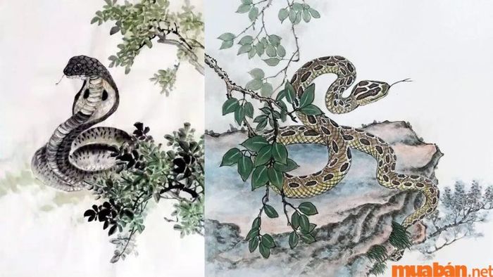 Tử vi Tân Tỵ 2001 nam mạng năm 2024 dự báo sẽ là một năm với nhiều thay đổi và thử thách.