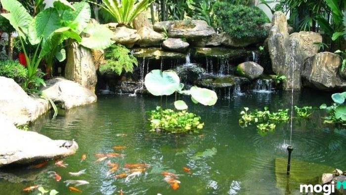 Kết hợp hồ cá với cây cảnh không chỉ tạo nên một không gian thư giãn mà còn đem lại sự tươi mới cho khu vườn.