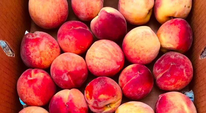 Peaches are a signature crop in Colorado's Grand Valley, which is also renowned for its thriving wine industry.