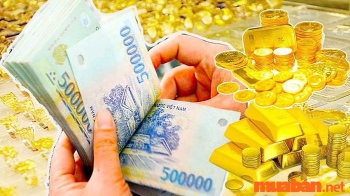 Tử vi tuổi Ngọ 2024 về tài lộc