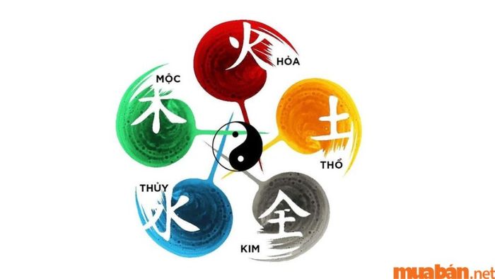 Tử vi Tân Tỵ 2001 nam mạng năm 2024 xét theo ngũ hành