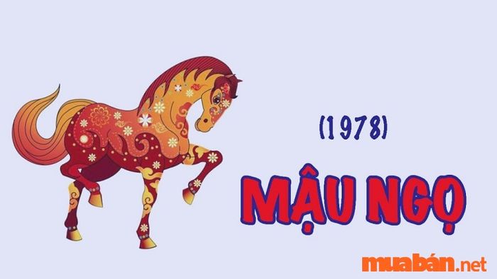 Tử vi năm 2024 của người tuổi Mậu Ngọ sinh năm 1978
