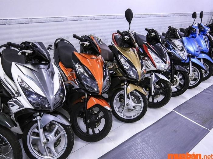 Dịch vụ cho thuê xe máy uy tín tại Đà Lạt
