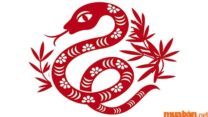 Tổng quan về tử vi tuổi Ất Tỵ 1965 nam mạng