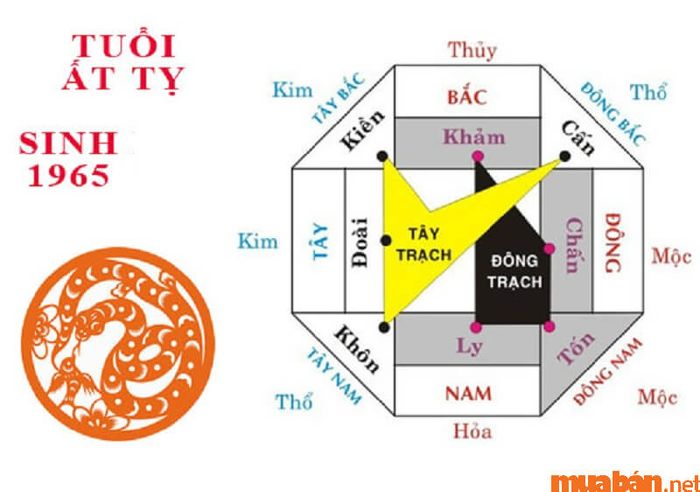 Chi tiết về hướng xuất hành của tử vi Ất Tỵ 1965 nam mạng năm 2024