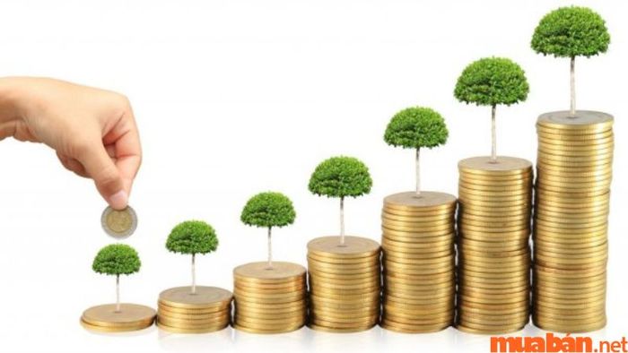 Mức lương sẽ được quyết định bởi khả năng và kinh nghiệm của từng cá nhân.