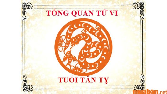 Tổng quan về tử vi nam Tân Tỵ 2001 trong năm 2024