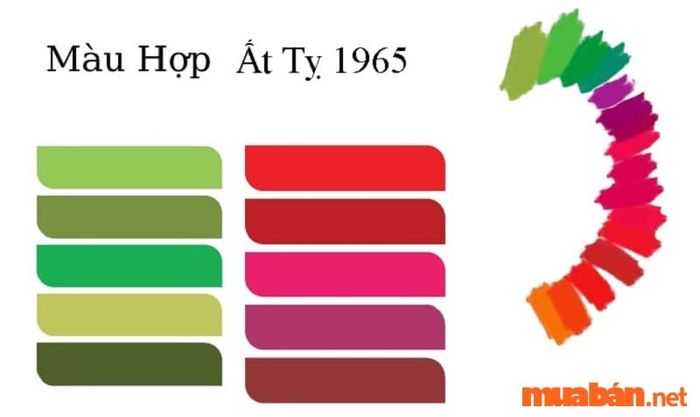 Màu sắc hợp tuổi Ất Tỵ 1965 nam mạng năm 2024 theo tử vi