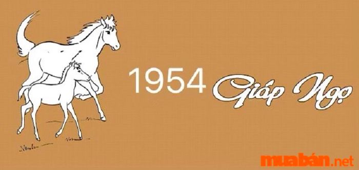 Tử vi tuổi Ngọ 2024 của những người sinh năm 1954