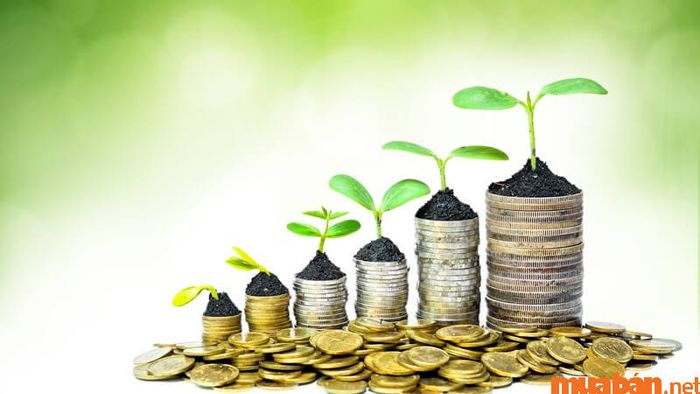 Tài chính của nam mạng Ất Tỵ 1965 trong năm 2024