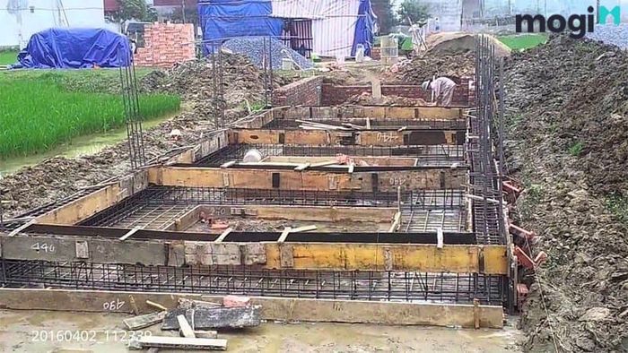 Móng băng có nhiều lợi ích vượt trội