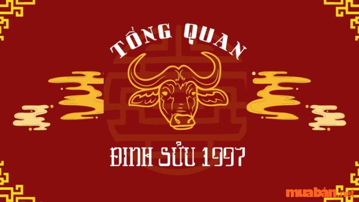 Thông tin cơ bản về người tuổi Đinh Sửu 1997