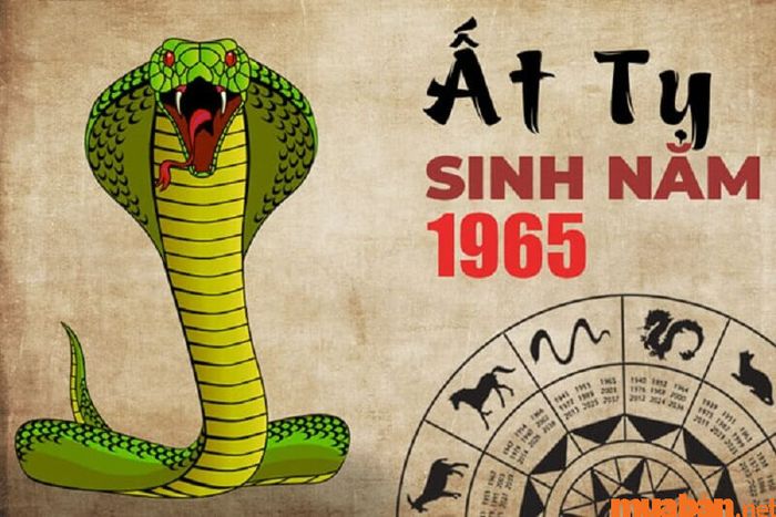 Chi tiết vận niên Ất Tỵ 1965 nam mạng năm 2024