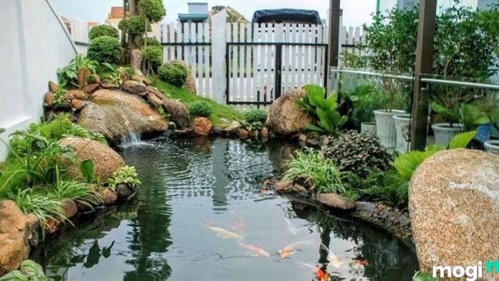 Lựa chọn vị trí xây dựng hồ cá