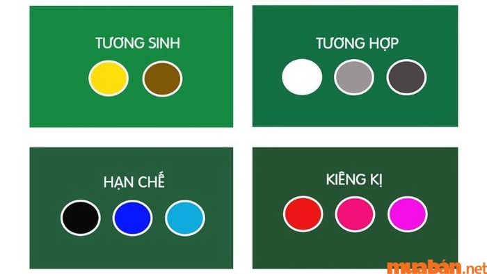 Người tuổi Tân Tỵ 2001 thuộc mệnh Kim, vì vậy những màu sắc thuộc mệnh Kim rất hợp với bạn.