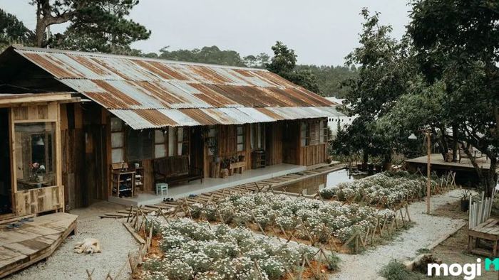 Tiệm cà phê Túi Mơ To, một địa điểm lý tưởng cho những tín đồ yêu thích không gian ấm cúng và bình yên.