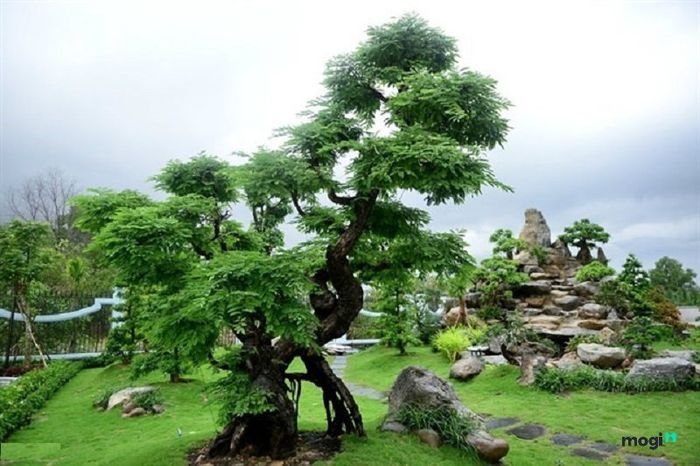 Nhà thờ Tổ của Hoài Linh.