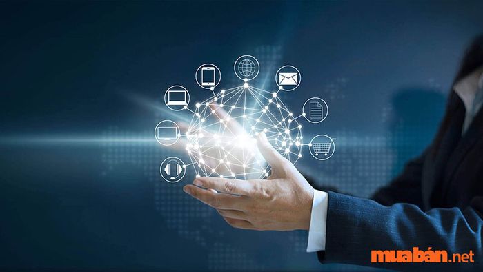 Cấu trúc của hệ thống thông tin là gì?