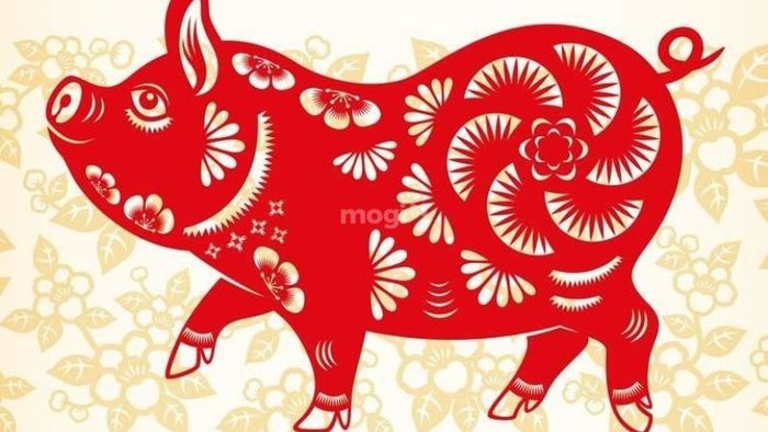 Hướng bếp phù hợp cho gia chủ Quý Hợi nam mạng