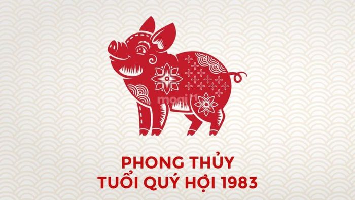 Tổng quan về tuổi Quý Hợi 1983 và những đặc điểm phong thủy nổi bật