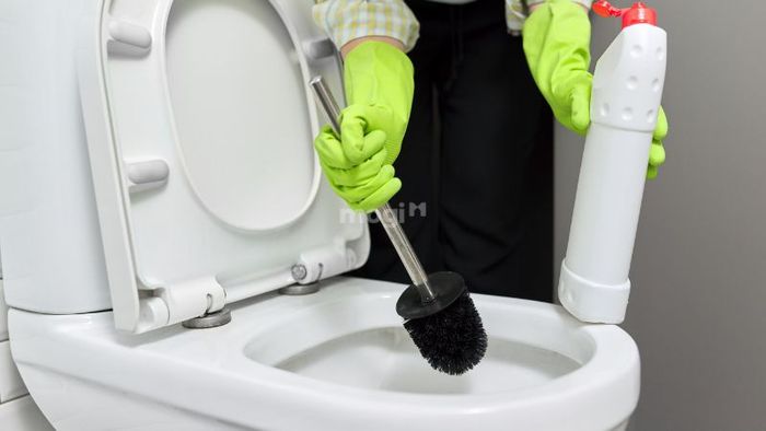 Dọn dẹp nhà vệ sinh sạch sẽ, đảm bảo không gian luôn gọn gàng và vệ sinh là điều cần thiết để tạo ra một môi trường sống lành mạnh.