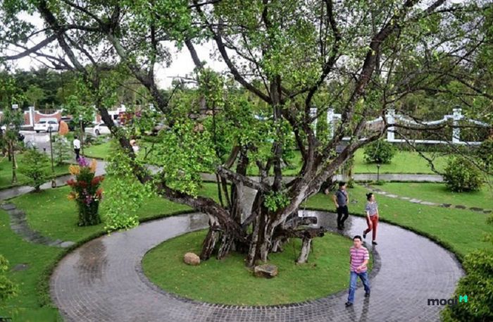 Khám phá nhà thờ Tổ của Hoài Linh.