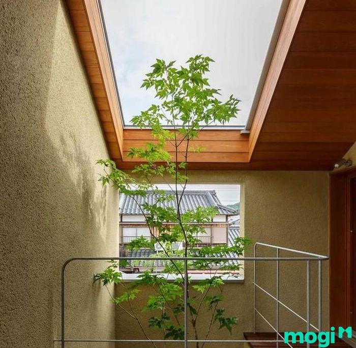Mẫu thiết kế giếng trời cầu thang số 1