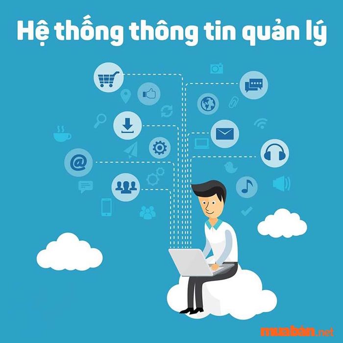 Ngành hệ thống thông tin là gì?