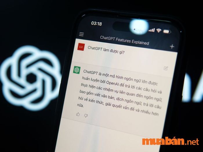  có khả năng dịch thuật rất chính xác.