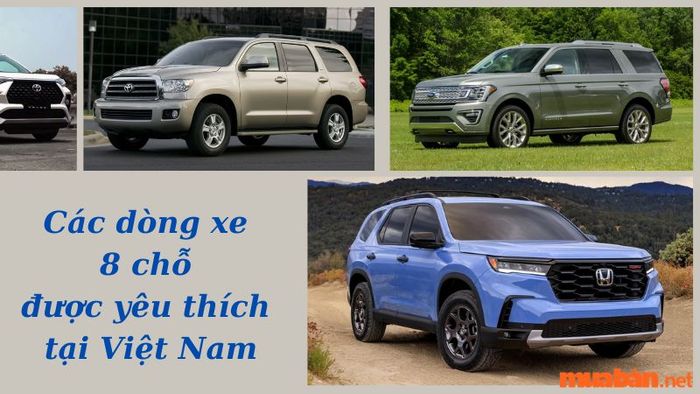 xe 8 chỗ tại Việt Nam