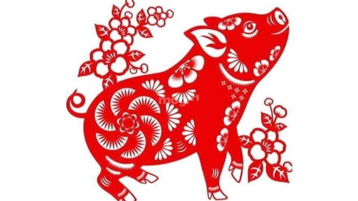 Hướng bếp phù hợp với tuổi Quý Hợi